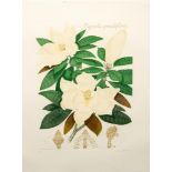 Bryan Poole (Contemporary) - 'Magnolia Grandiflora', etching, artist's proof, signed in pencil,