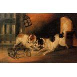 FOLLOWER OF GEORGE ARMFIELD - Terriers in a barn, oil; on board, framed,