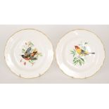 Two 1950s Royal Worcester cabinet plates each decorated with a hand painted bird,