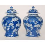 A pair of Chinese prunus blossom vase and covers decorated with sprays of white blossom against a