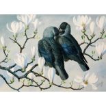 CHARLES FREDERICK TUNNICLIFFE, RA (1901-1979) - A pair of jackdaws on a flowering magnolia tree,