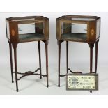 A very fine and unusual pair of early 20th Century Irish Arts & Crafts inlaid Curio Display Stands,