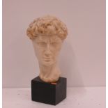 A classical style assimilated marble Bust, after A. Santini, 32cms (12 1/2") high.