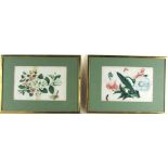 19th Century Chinese School An attractive set of 5, large Botanical Paintings on rice paper,