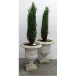 A pair of attractive cast iron Garden Urns, with egg and dart rims, reeded body on plinth base.