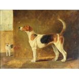 19th Century English School "Portrait of a Beagle Dog, 'Milton Gaiety'" standing in a stable,