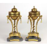 An attractive pair of 19th Century French ormolu bronze Urns,