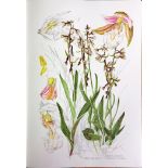 Signed Limited Edition Coloured Plates: Sex (Susan) Ireland's Wild Orchids,
