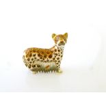 ROYAL CROWN DERBY 'LEOPARD CUB' PAPERWEIGHT