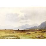 William F* Cooper (fl.1923-1935, Irish) - 'The Bog Road, County Kerry', signed, inscribed verso,