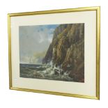 Edgar West (fl. 1857-1881) - Coastal scene with sea birds near cliffs, signed, watercolour