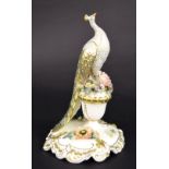 Royal Crown Derby porcelain model of a peacock upon an urn, with encrusted flowers upon a scroll