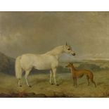 James Cassie R.S.A., R.S.W (1819-1879) - White pony and a greyhound in a landscape, signed and