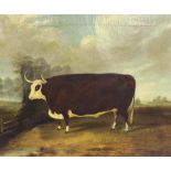 English Provincial School (19th century) - Long horn heifer standing in a landscape beside a