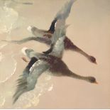 Vernon de Beauvoir Ward (1905-1985) - Geese in flight, oil on canvas, 12" x 12" (unframed) **