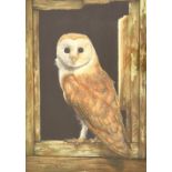 Carl Whitfield (20th/21st century) - Barn owl, signed, oil on board, 6.25" x 6.5"