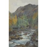 Norman Netherwood A.R. Cam.A (fl 1920-1929) - 'Aberglaslyn', signed, also inscribed on the artist'