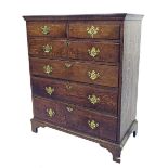 Tall Georgian oak chest of drawers, the plain top with dovetailed cornice over two short on four