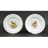 Pair of Royal Worcester porcelain side plates, each painted with birds, one a lark, the other a