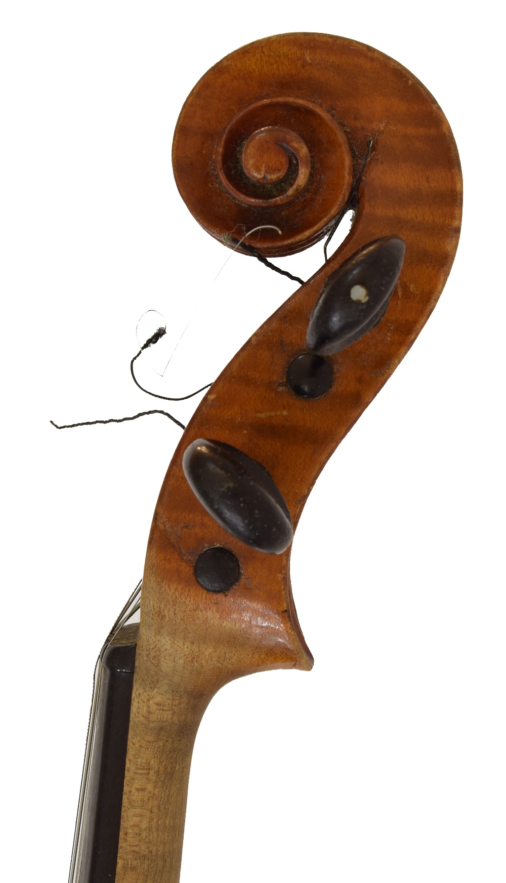 French violin labelled Degani Eugenio fece Venezia-Anno 1891, the two piece back of broad curl - Image 3 of 3