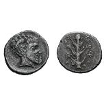 Cyrenaica, Cyrene. c. 435-331 BC. Tetradrachm, 12.93g (12h). Obv: Silphium plant with six leaves,