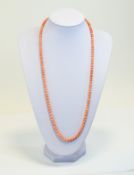 Antique - Nice Quality Long Coral Beaded Necklace with A 9ct Gold Clasp.
