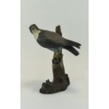 Resin Sparrowhawk Figure bird of prey pe