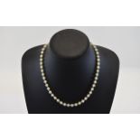 Ladies 14ct Gold and Cultured Pearl Necklace,