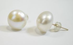 Large White Fresh Water Pearl Earrings,