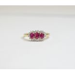 9 ct Diamond and Ruby Cluster Ring.