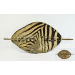 Zebra Hide Shield Possibly early 20th Century, looks to be Zulu, some signs of ware to hide.