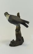 Resin Sparrowhawk Figure bird of prey perched on branch,