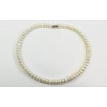 White Cultured Fresh Water Pearl Omega Style Necklace,