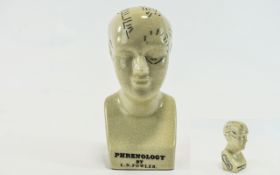 Ceramic Phrenology Head Cream crackle glaze contemporary reproduction phrenology head marked ' L.N.