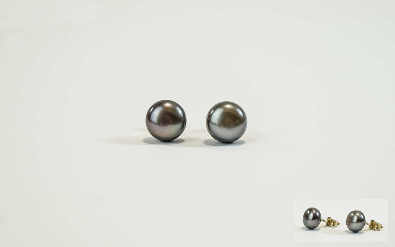 A Fine Pair of 9ct Gold Set Cultured Black Pearl Earrings. Fully Hallmarked For 9ct Gold.