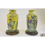 Chinese Fine Pair of Painted Enamel ' Famille Verte ' Coloured Enamel Vases,