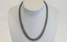 A Fine Quality Single Strand Black Pearl Cultured Necklace, with 18ct White Gold Clasp, Marked 750.