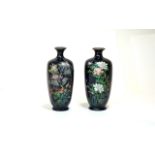 Japanese 19th Century Pair of Very Finely Decorated Bottle Shaped Cloisonne Vases. Meiji Period.