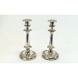 Victorian Pair of Fine Silver Plated Circular Based Candlesticks with Embossed Grapes on The Vine