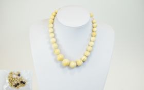 Antique Graduated Ivory Necklace with Silver Clasp. 69.