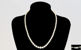 Top Quality - 1920's Single Strand Cultured Pearl Necklace with 18ct White Gold Clasp and Safety