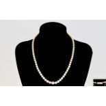 Top Quality - 1920's Single Strand Cultured Pearl Necklace with 18ct White Gold Clasp and Safety