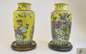 Chinese Fine Pair of Painted Enamel ' Famille Verte ' Coloured Enamel Vases, Raised on Circular