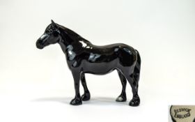 Beswick Horse Figure ' Dales Pony ' Black Gloss ' Maisie ' Model No 1671. Designer A. Gredington,