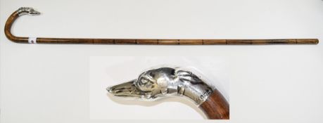 Antique Silver Topped Bamboo Cane / Walking Stick, The Top In The Form of a Greyhounds Head.