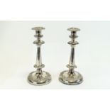 Victorian Pair of Fine Silver Plated Cir