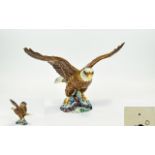 Beswick - Large Early Bird Figure ' Bald Eagle ' Model 1018. Designer A. Gredington.