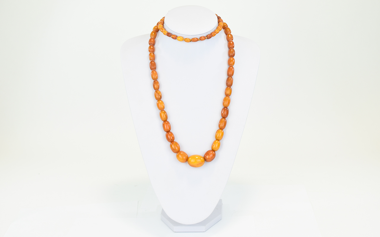 Antique Long Graduated Natural Amber Bead Necklace In Butterscotch Colour way, Nice Quality and