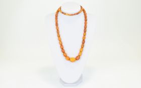 Antique Long Graduated Natural Amber Bead Necklace In Butterscotch Colour way, Nice Quality and