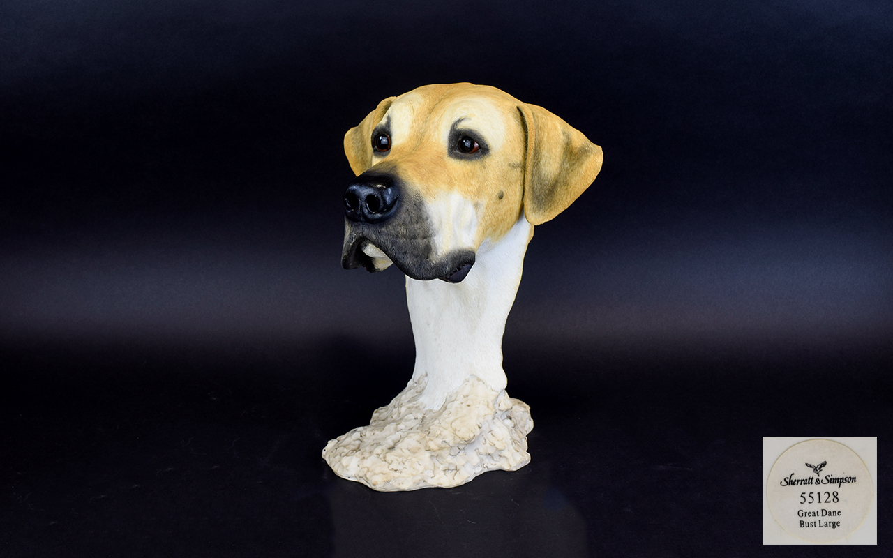 Resin Bust In the Form Of A Great Dane L